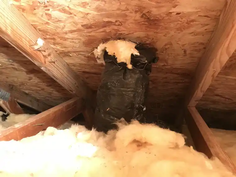 Attic with roof sheathing and a wrapped vent duct running through blown insulation.