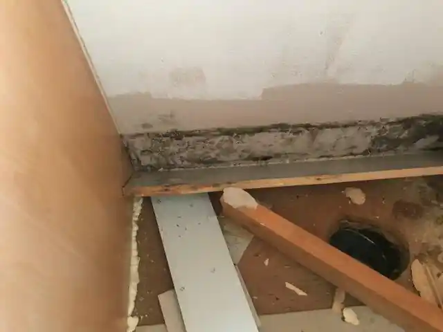 Mold along the base of a wall after the baseboard was removed