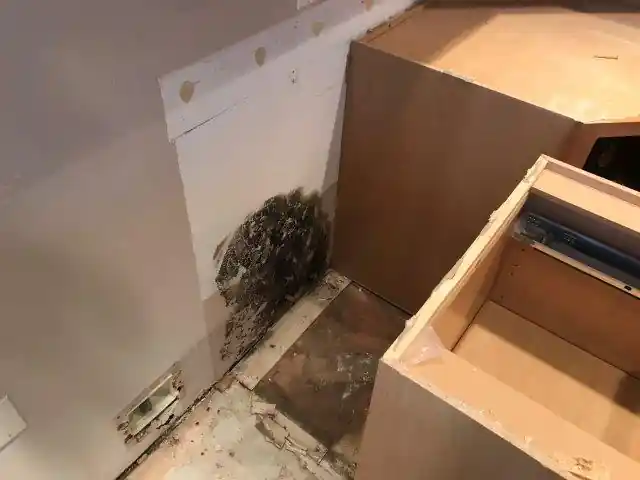 Mold behind a cabinet that has been removed.